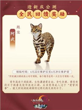 回忆天龙八部私服